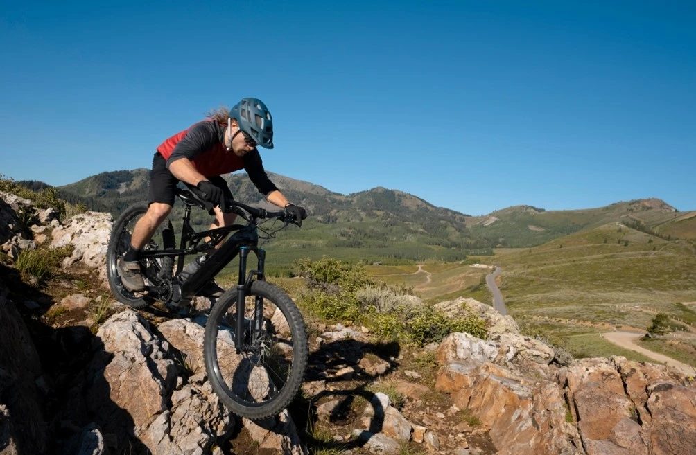 ebike brake pad application ebike brake pad application